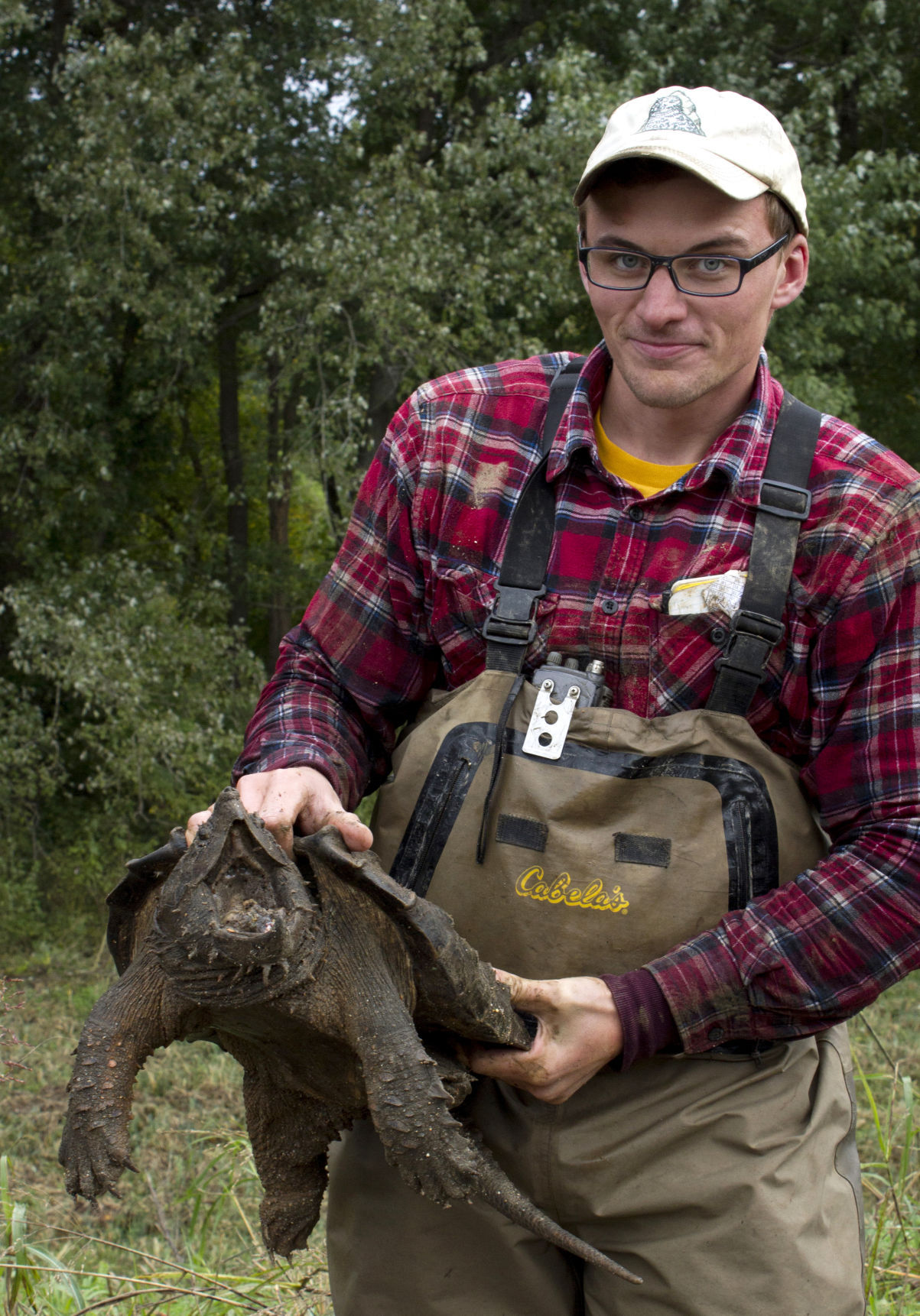alligator snapping turtle